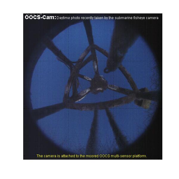 OOCS_fisheye