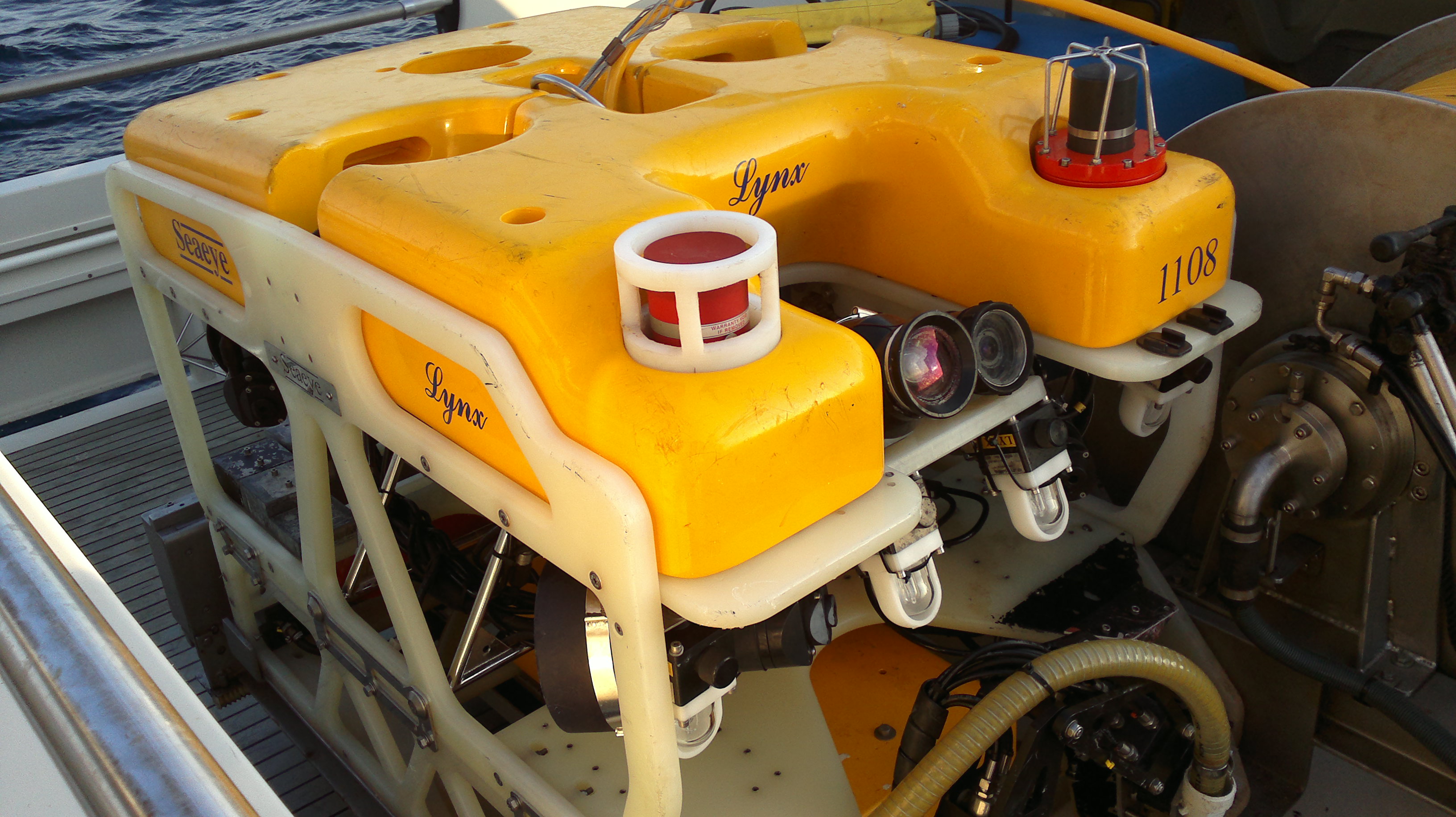 ROV in Blanes canyon