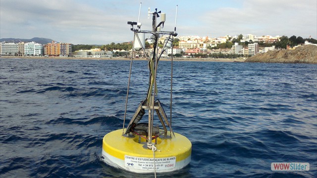 Oceanographic buoy.